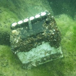 2011.09.22 Net'Leman 2011 (Manu)