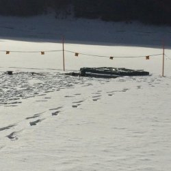 2020.02.22-23 Taney 2020 (Bea)