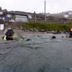 2019.05.11 Rivaz 2019 (Daniel)