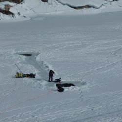 2011.03.12 Taney Sous-glace (Daniel)