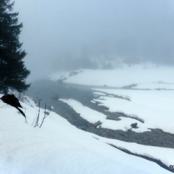 2018.01.27-28 Taney (Daniel)