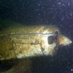 2019.08.10 Tougues 2019 (Daniel)