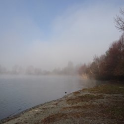 2016.12.10 Duzillet (Nicole)