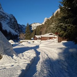 2017.02.18-19 Taney (Nicole)