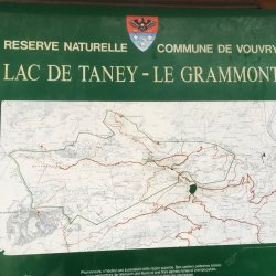 2017.02.18-19 Taney (Pascal)